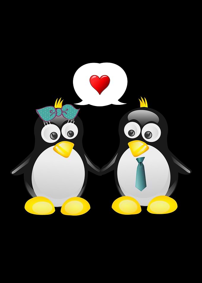 Penguin love for cute coup