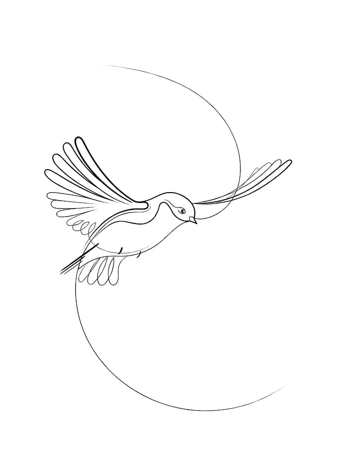 Bird In Flight