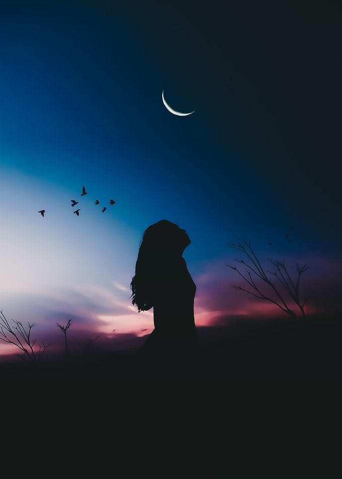 The girl and the moon