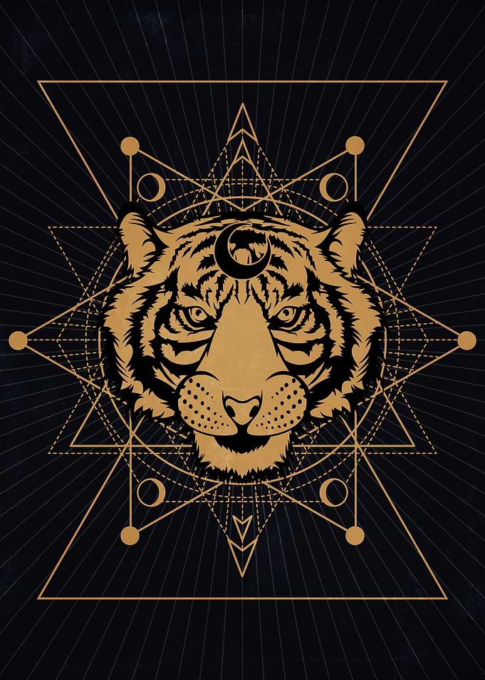 Shaman Tiger