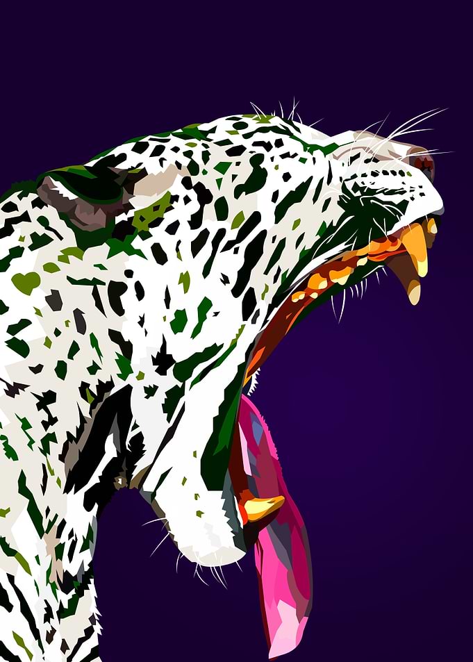 White leopard
