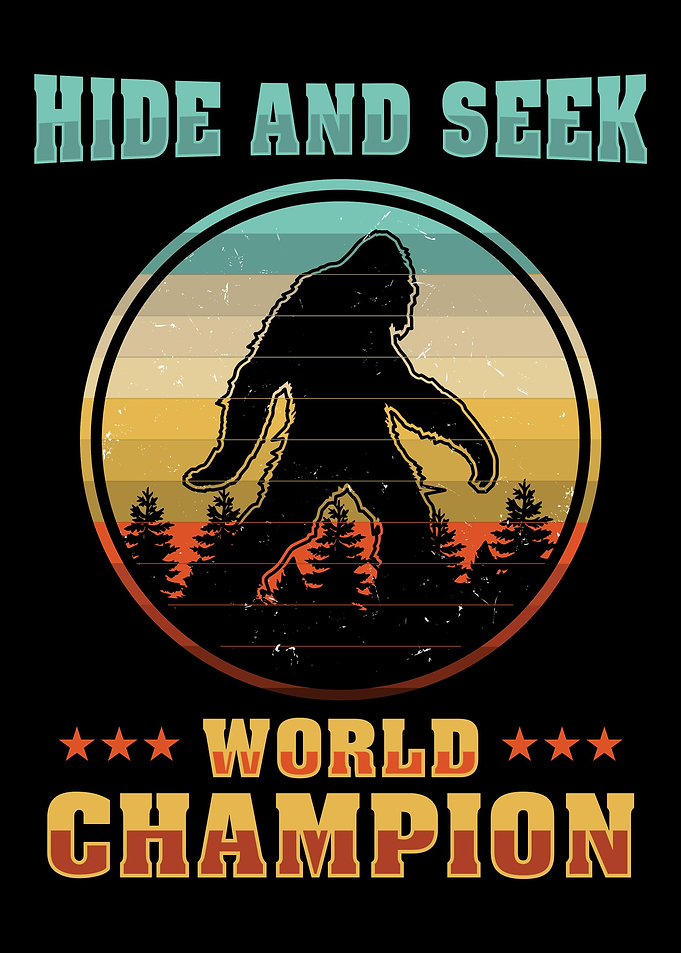Hide And Seek World Champi