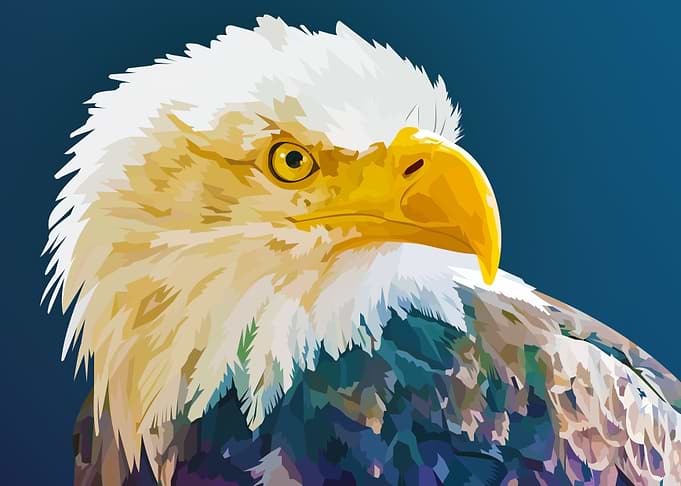 American Eagle