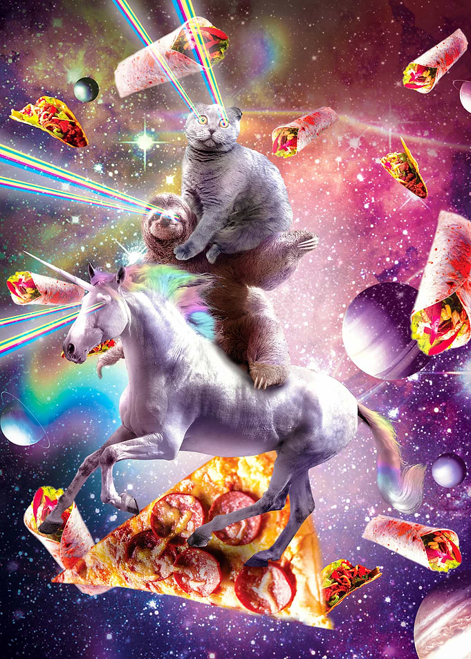 Space Cat Sloth Unicorn