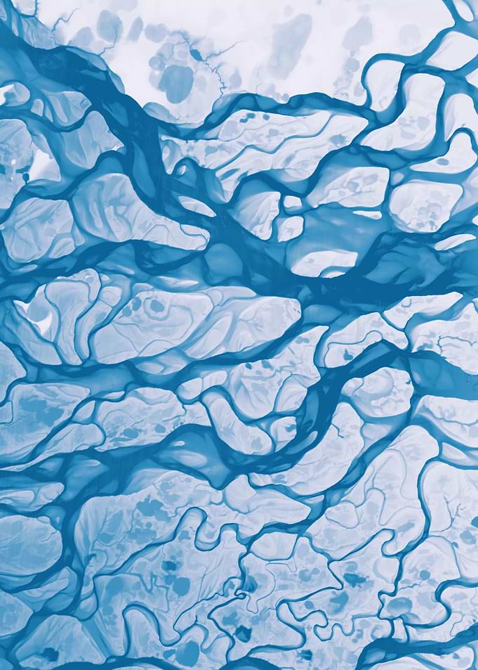Lena river delta