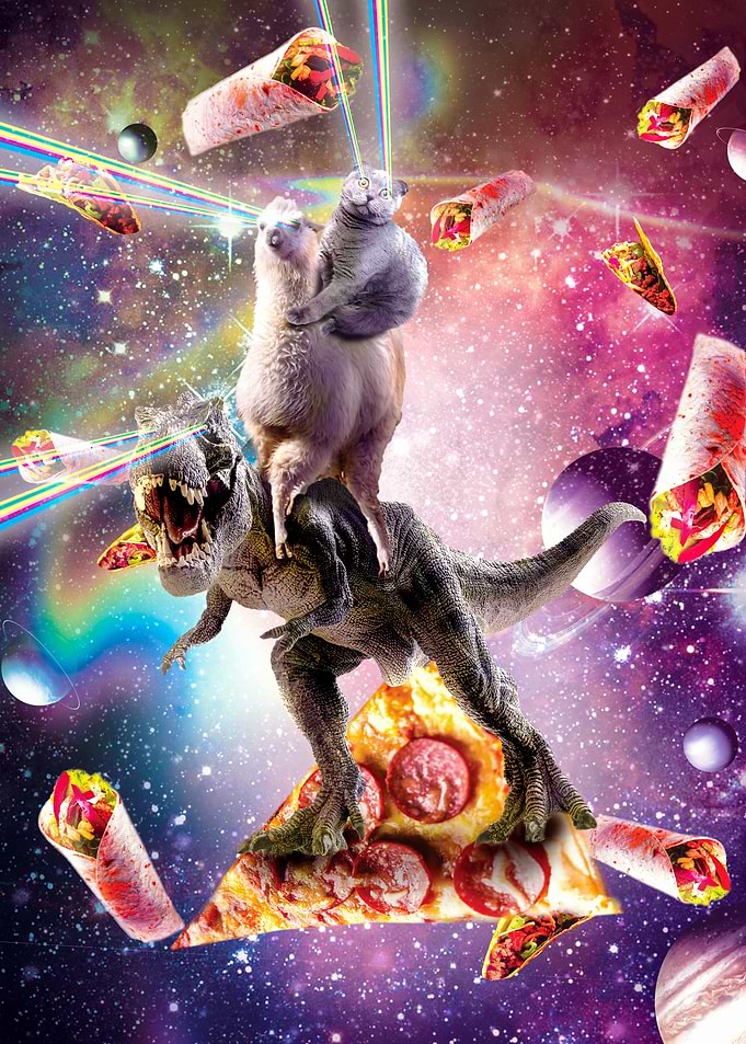 Space Cat Llama Dinosaur