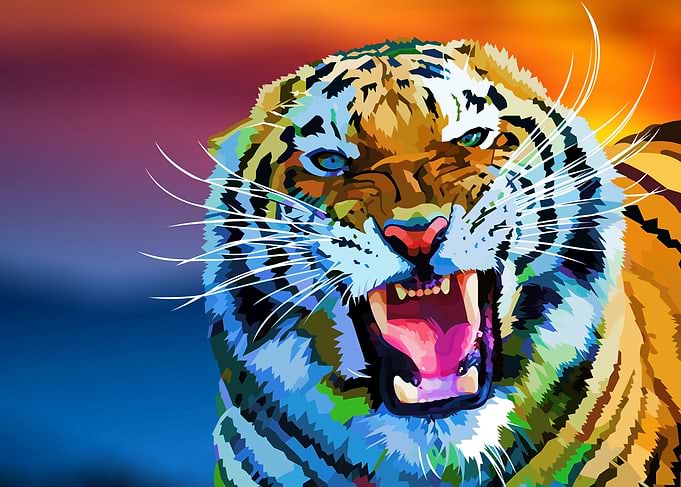 Angry tiger sunset