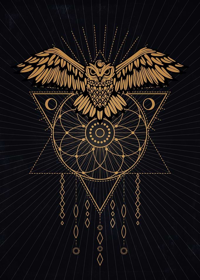 Shaman Owl