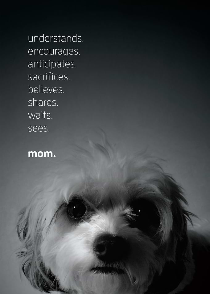 moms dog