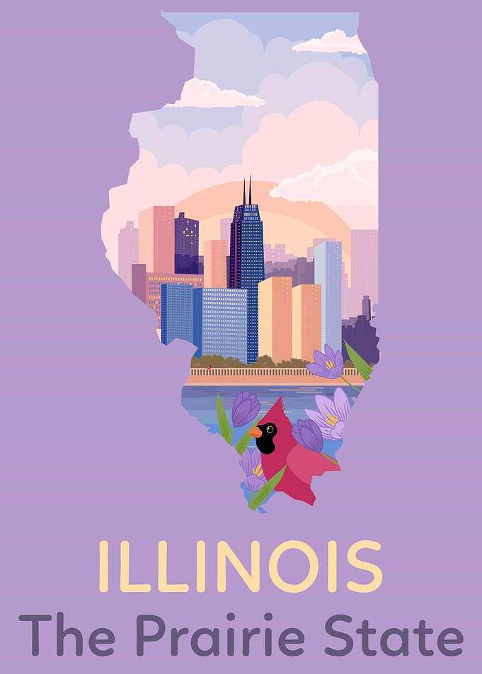 Illinois state map usa