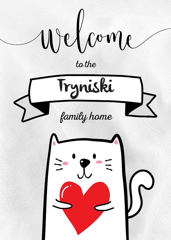Tryniski Family Home Cat