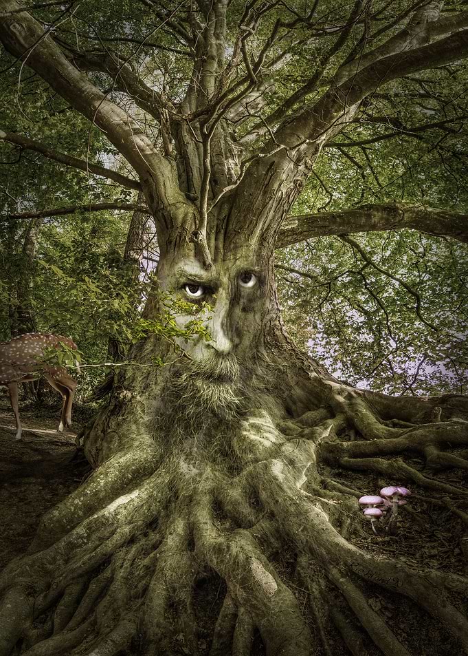Magic Tree