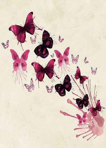 Butterfly gift