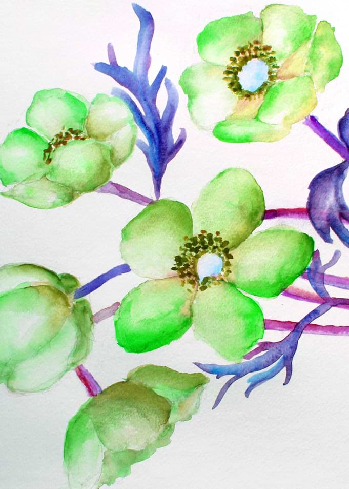 Floral 08
