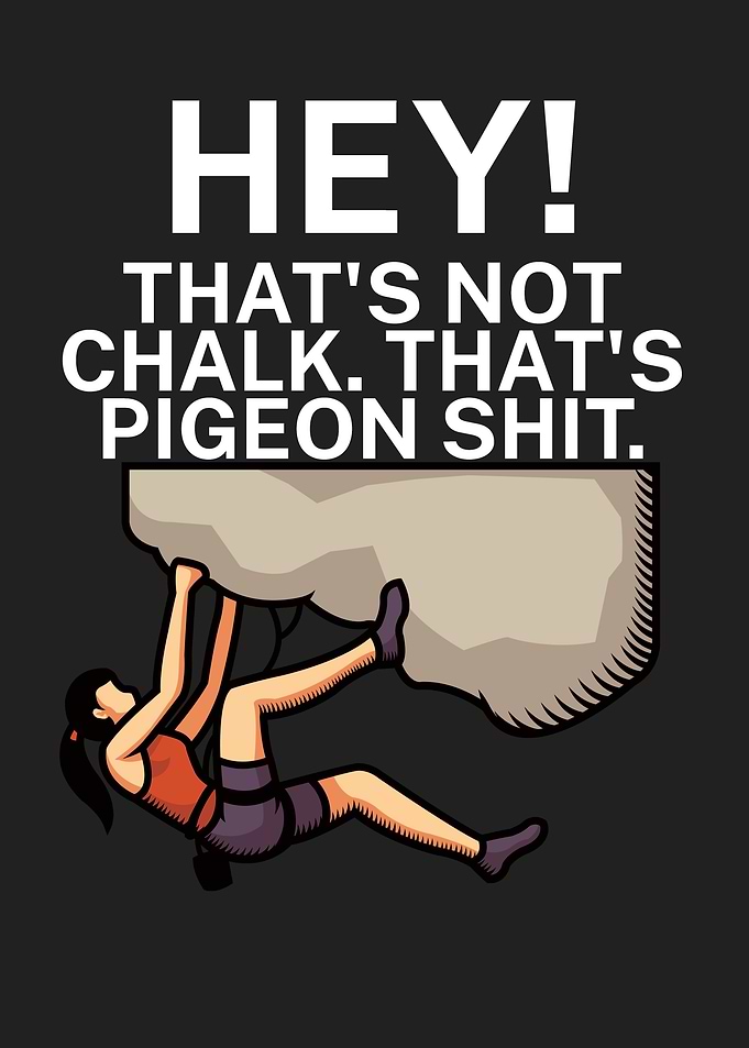 Hey chalk pigeon shit
