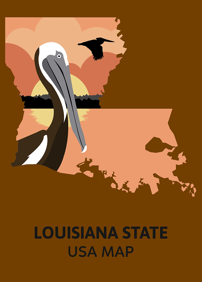 Louisiana State Map USA