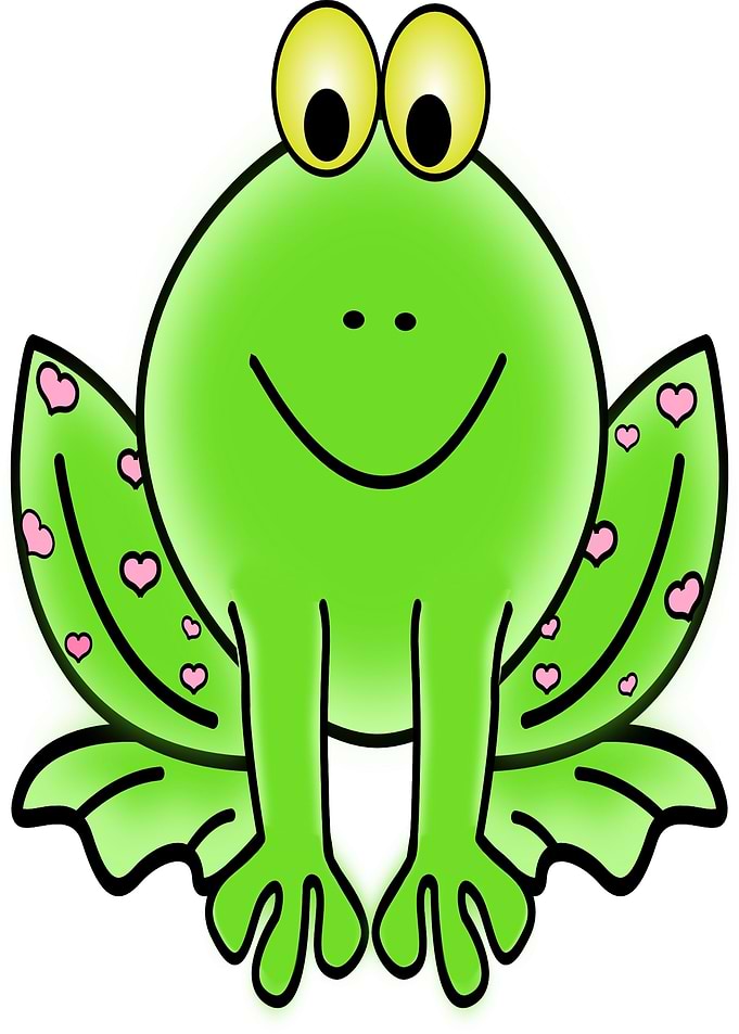 smiling frog gift
