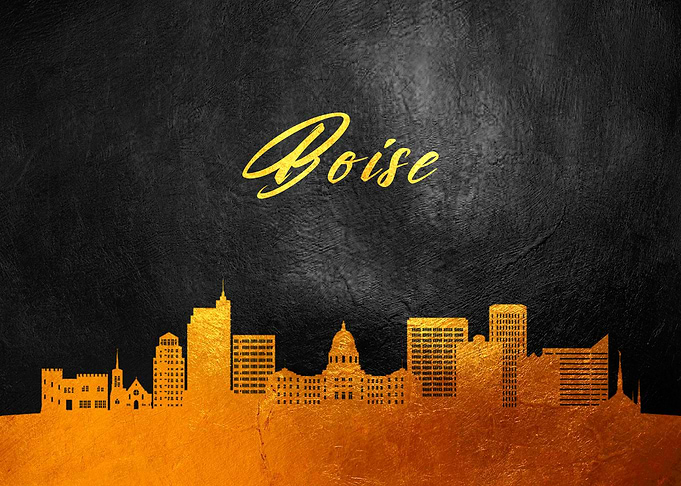 Boise Idaho Skyline