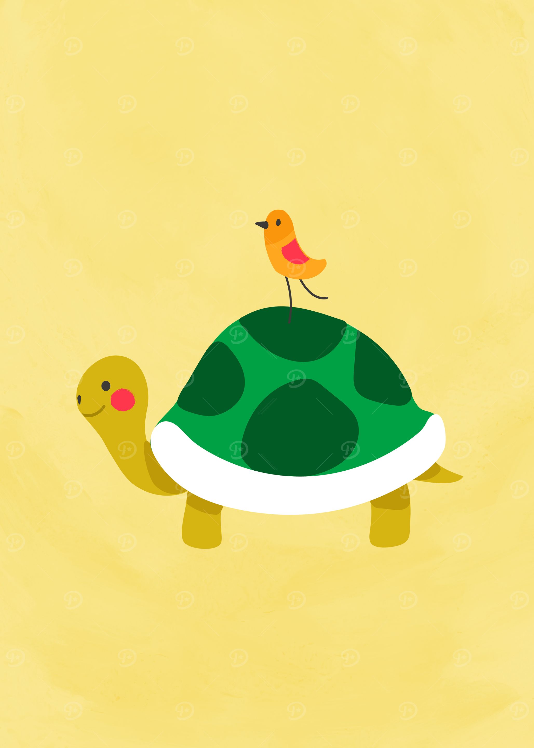 Cute Tortoise Animal