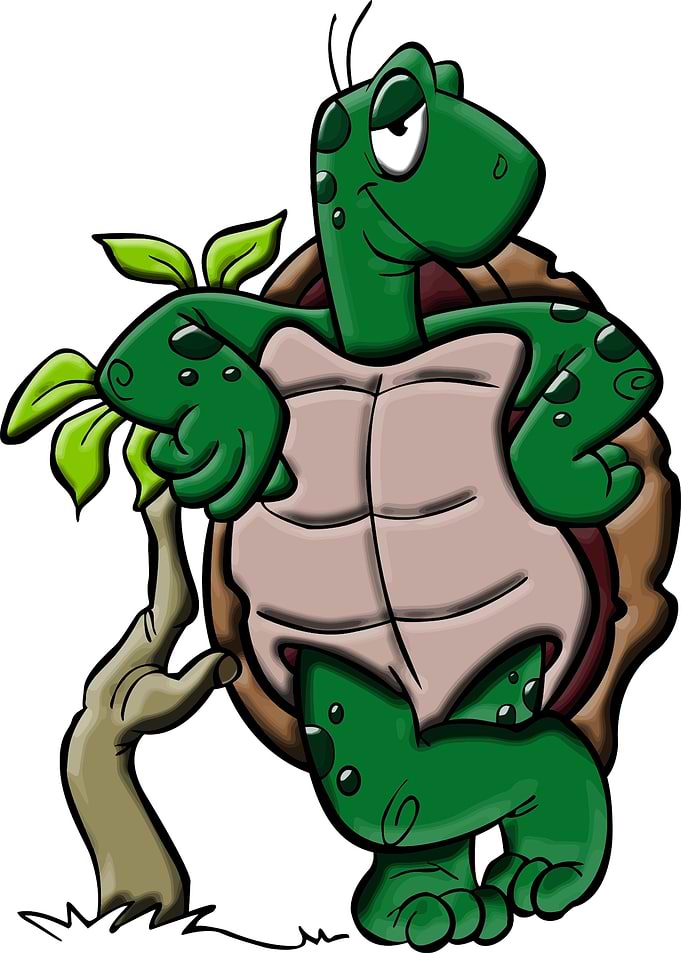 Sexy Turtle