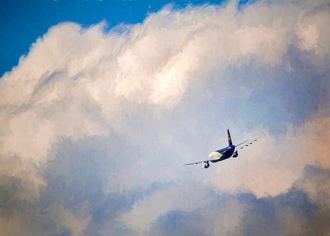 Sky Flight