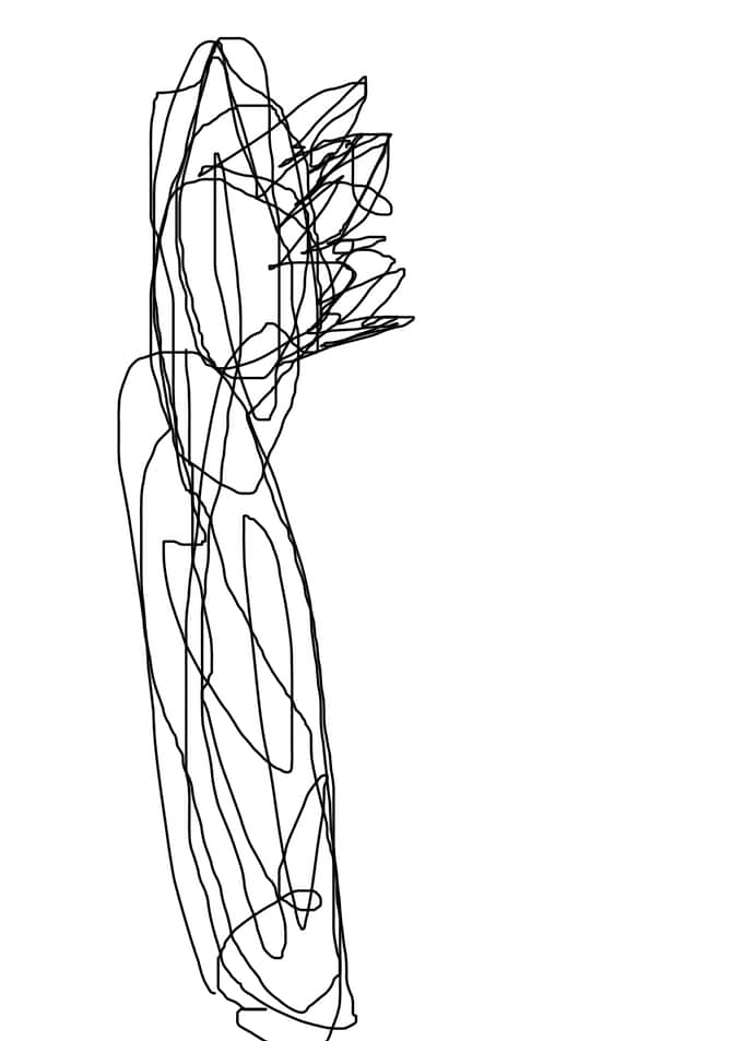 abstract line original