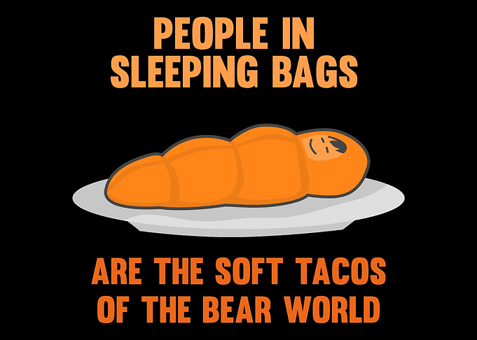 Sleeping bags