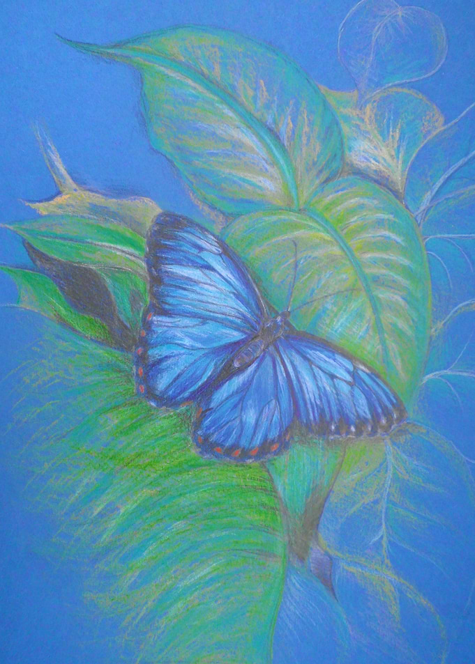Blue butterfly cottagecore