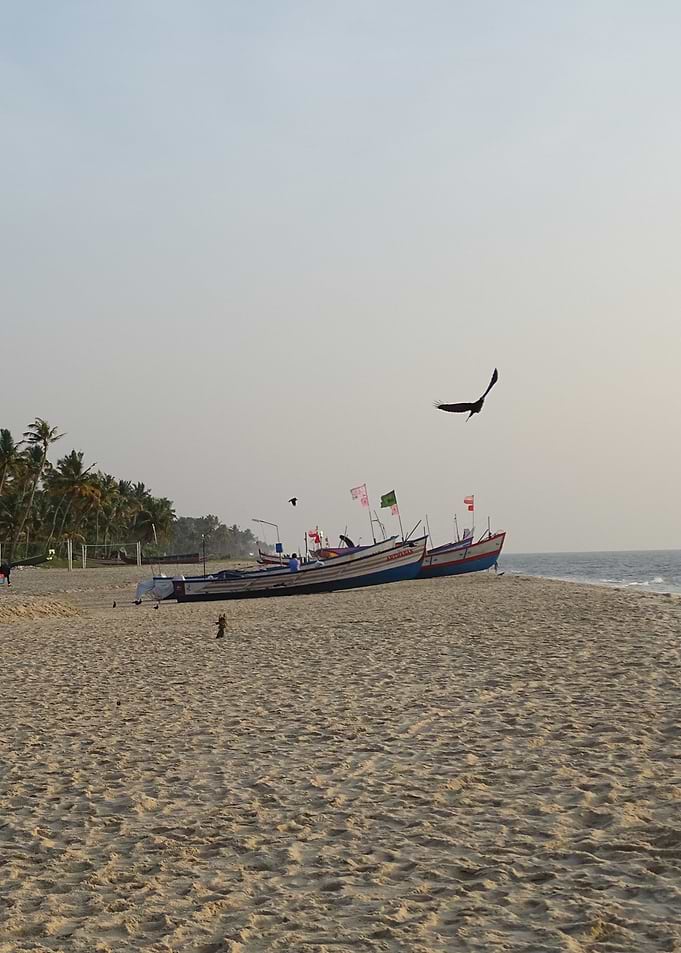 evening at the sea
