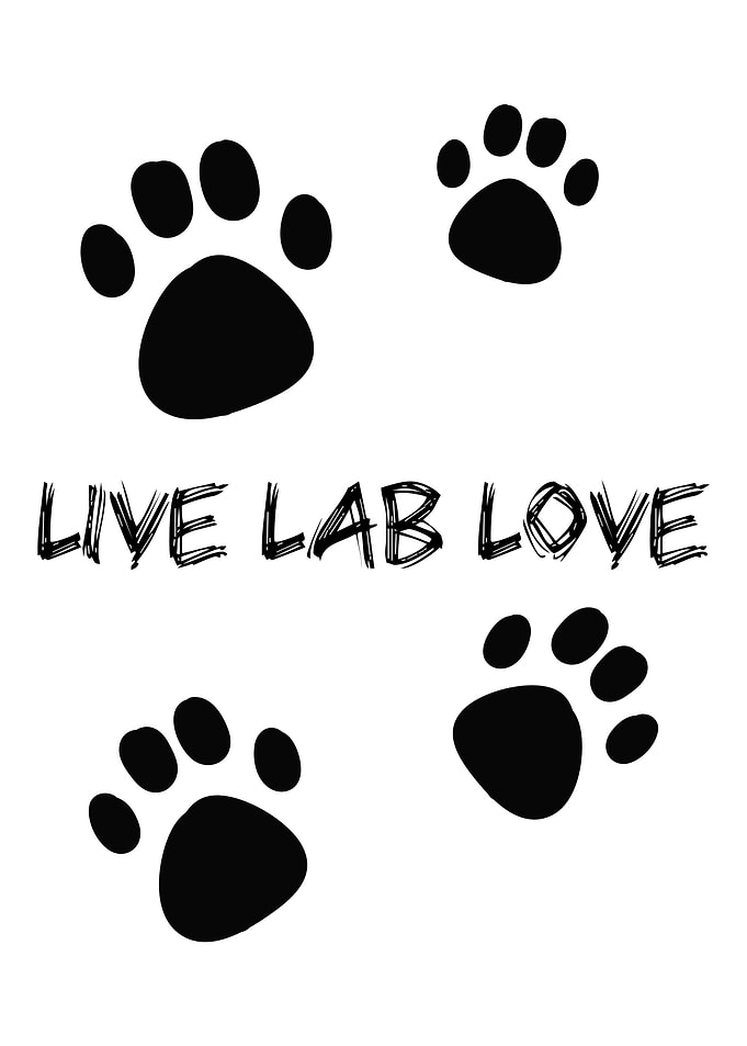 Life Lab Love