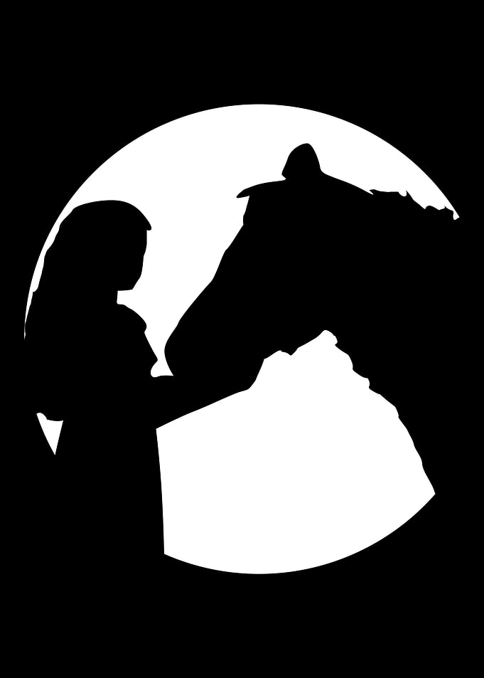 horse cute riding gift