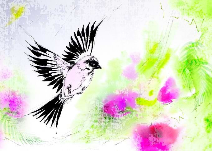Bird on Spring