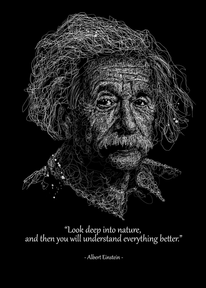 einstein quotes