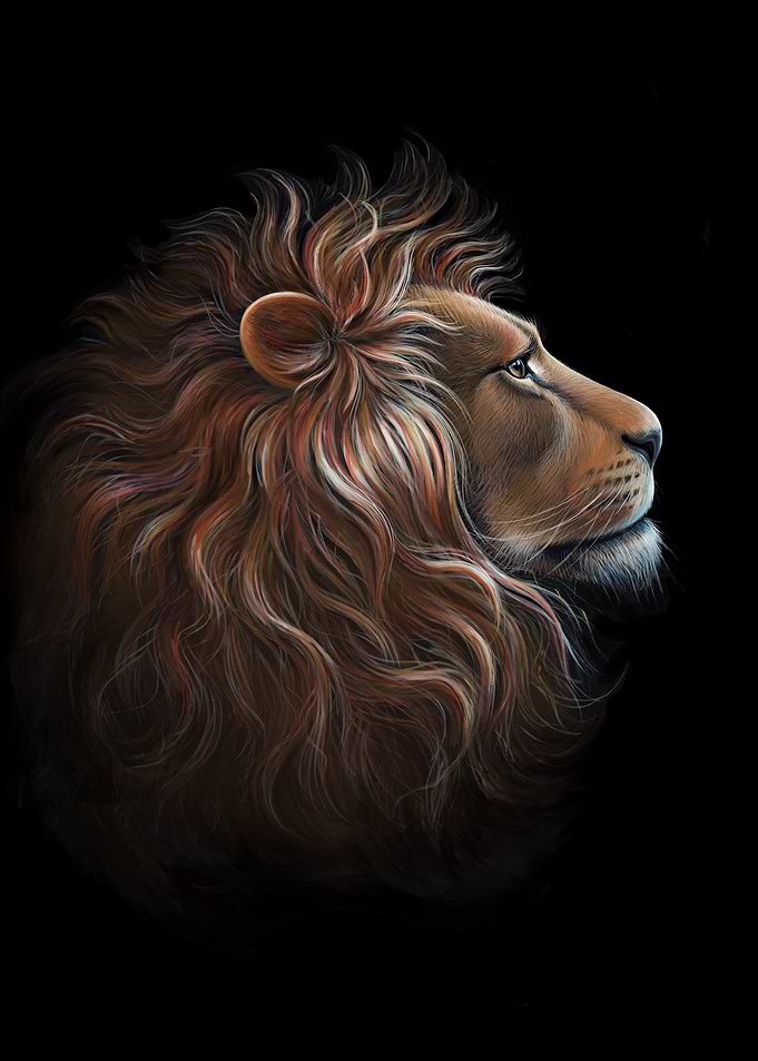 Portrait of a lion