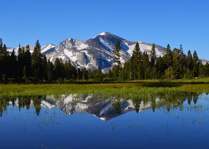 Reflection