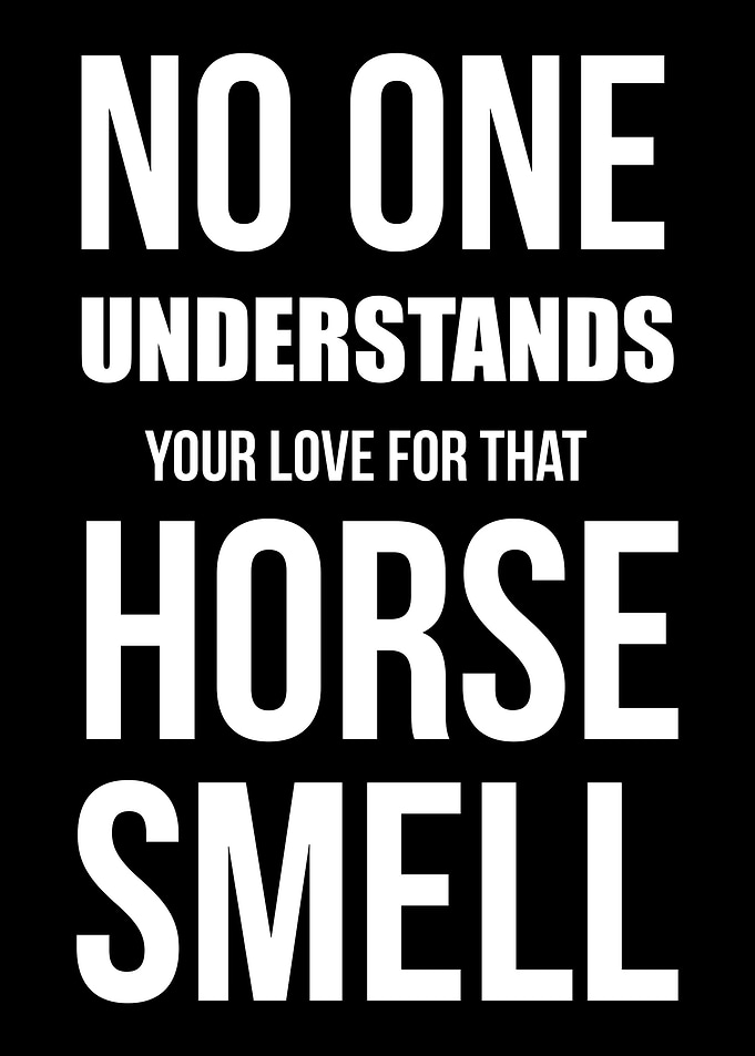 horse cute riding gift