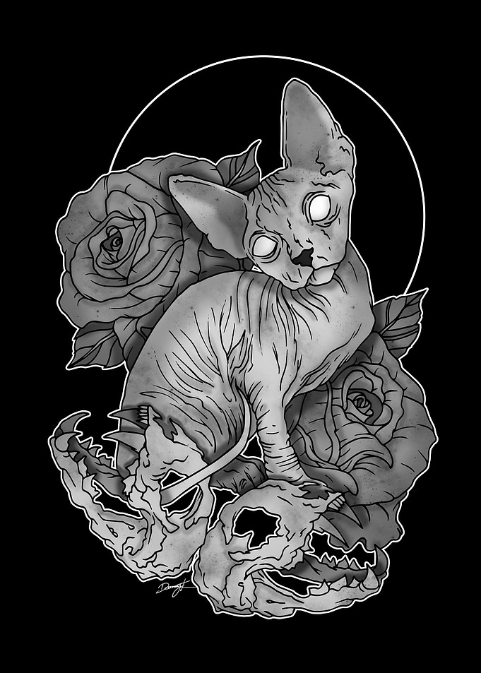 Hairless Cat