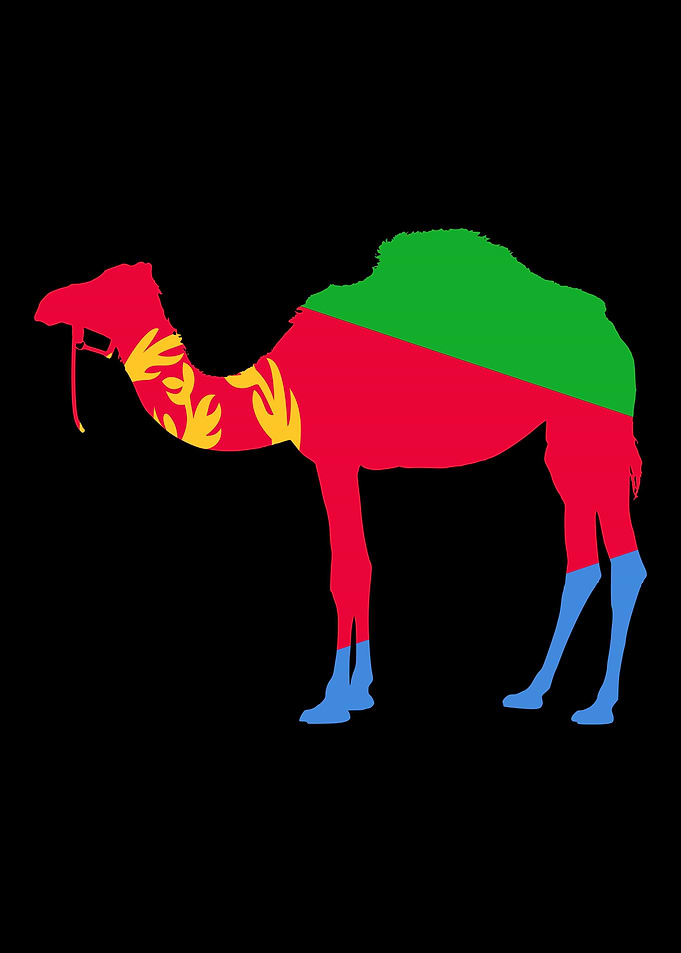 Eritrea Camel Flag Shirt T