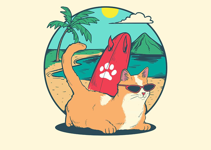 Cat surfing cute and funny