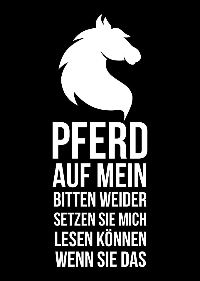 horse cute riding gift