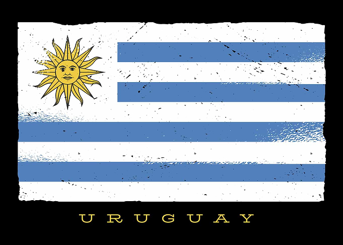 Distressed Uruguay Flag