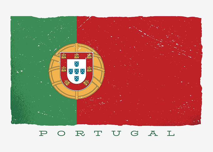 Distressed Portugal Flag