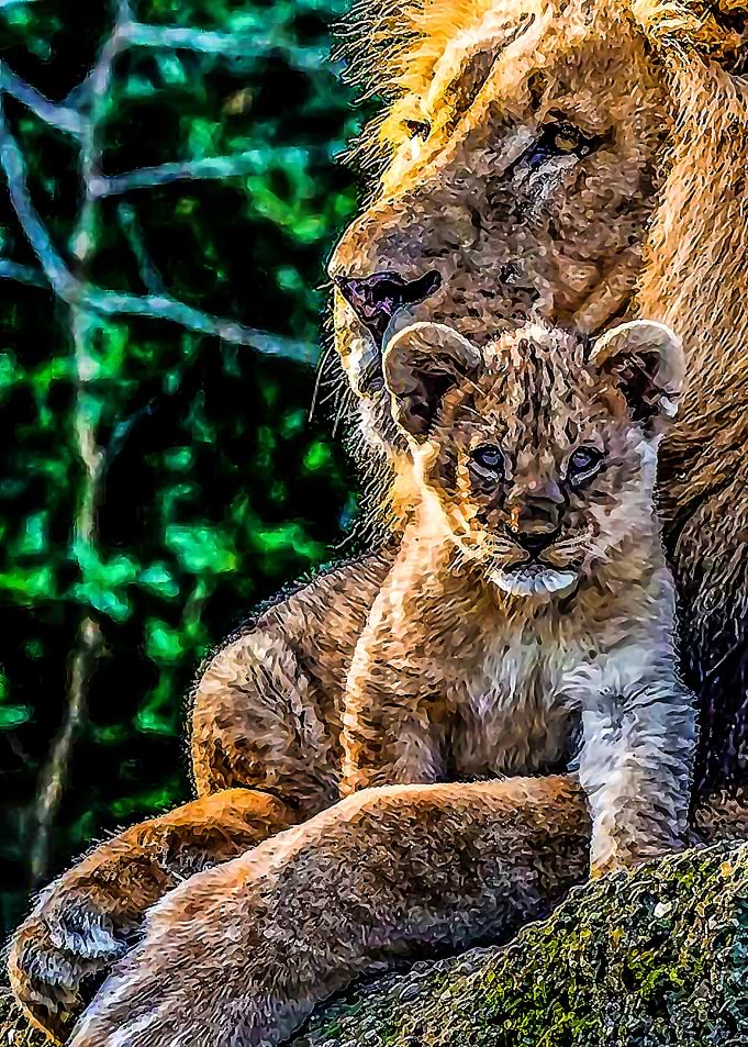 Animal 54