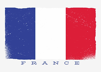 Distressed France Flag
