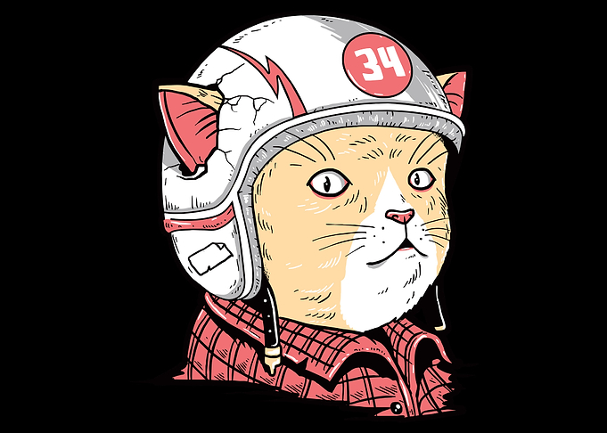 Cat race cute and funny