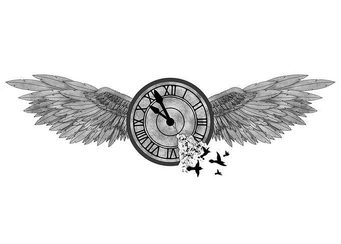 ENVOLE DU TEMPS