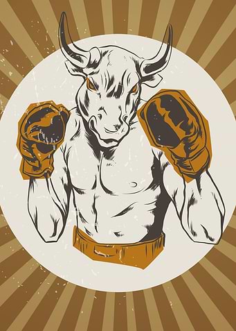 Boxing Ox Boxclub