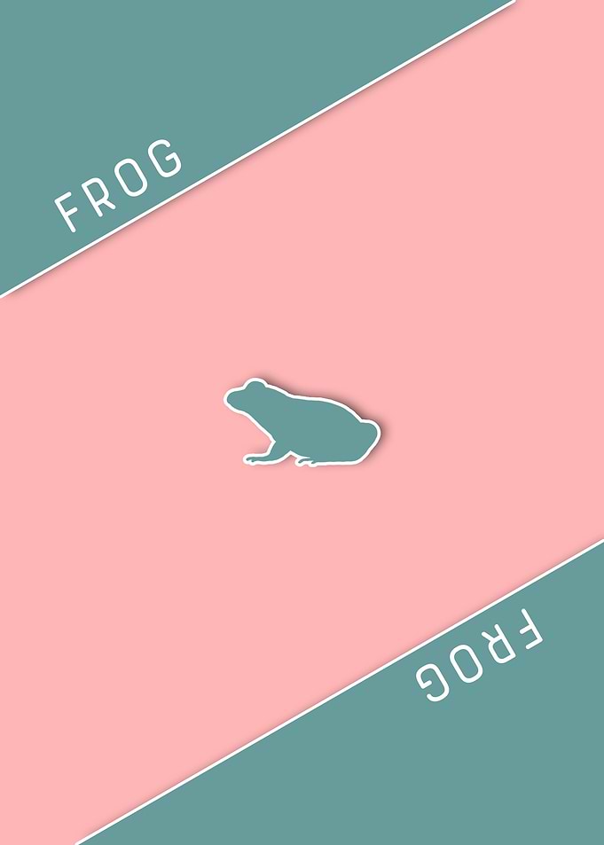 Frog Minimanimal