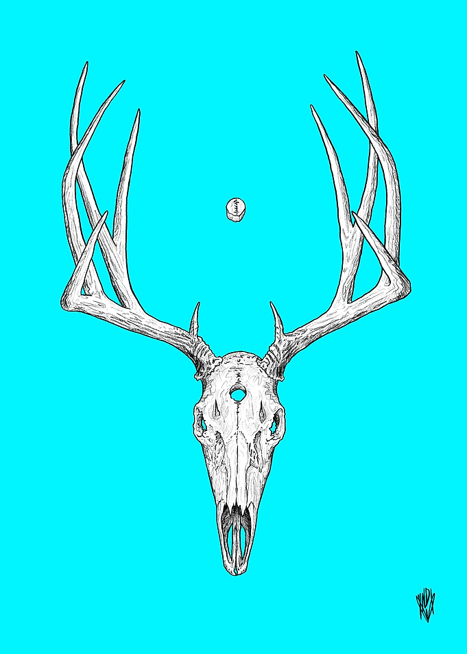 Deer Skull Color