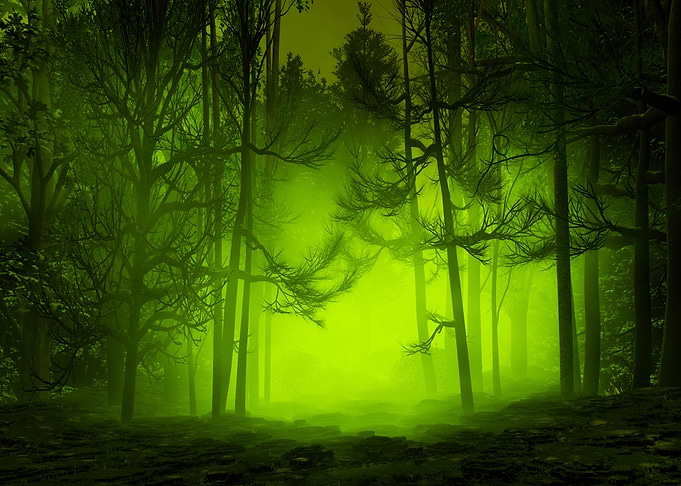 Mystical Walking